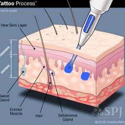皮膚に添った施術のメソッド