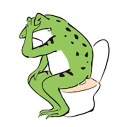 帰国後の色落ち