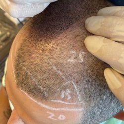 国内のヘアタトゥーについて(他のまともなところはここくらいか)