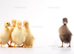 昔の話⑥ 異分子