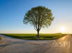 昔の話⑧ 壊れた社員